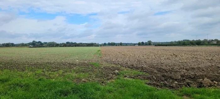 Blick in die Landschaft bei Laer